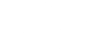 THE ACCELERATOR DESIGN