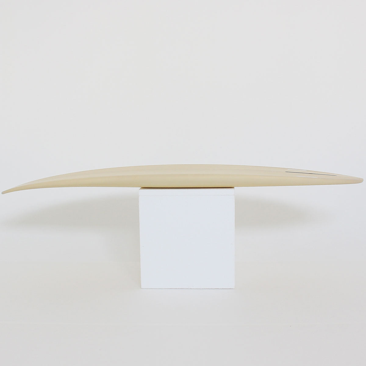 ミッドショート – THE ACCELERATOR DESIGN