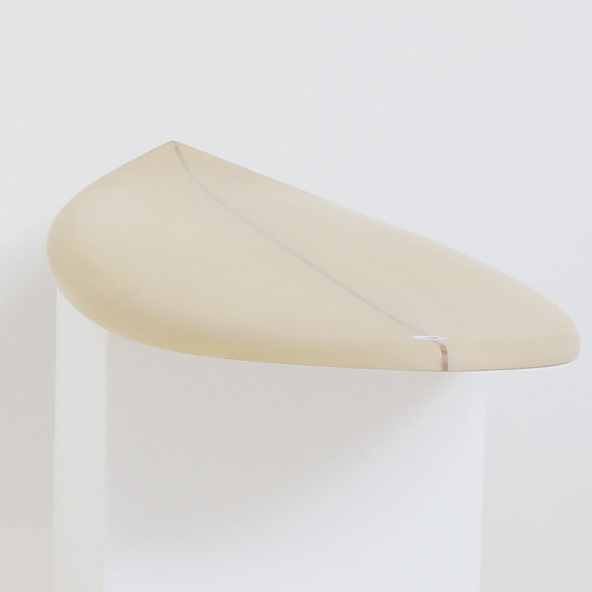 ミッドショート – THE ACCELERATOR DESIGN